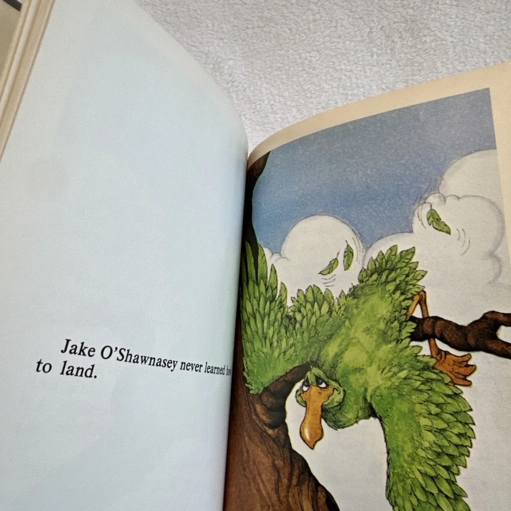 Jake O'Shawnasey Serendipity Book Stephen Cosgrove‎ Robin James Hardcover 1975
